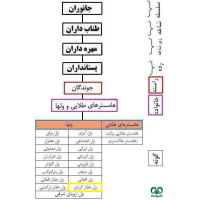 گونه ول حفار کردی Transcaucasian Mole-Vole